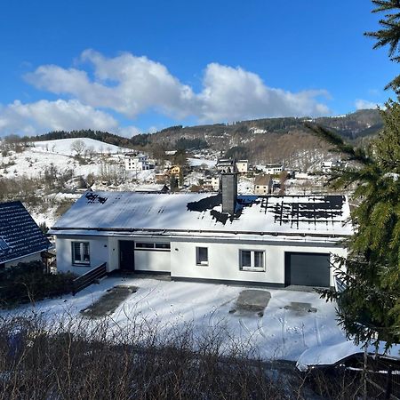 Panoramablick Willingen Schwalefeld Lejlighed Eksteriør billede