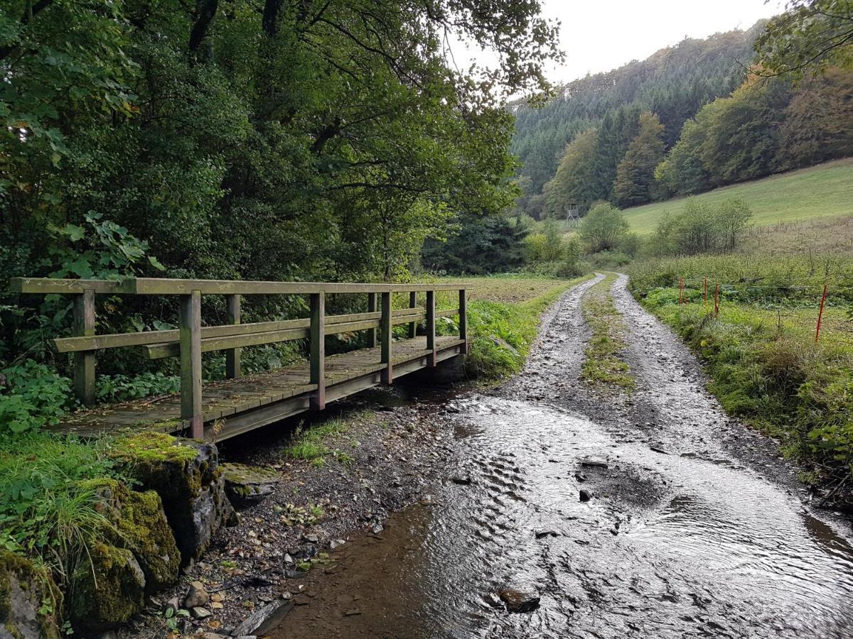 Panoramablick Willingen Schwalefeld Lejlighed Eksteriør billede