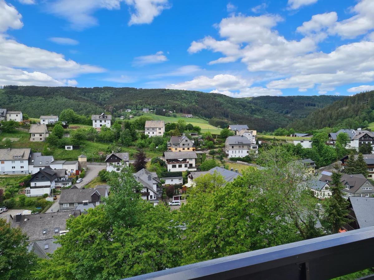 Panoramablick Willingen Schwalefeld Lejlighed Eksteriør billede