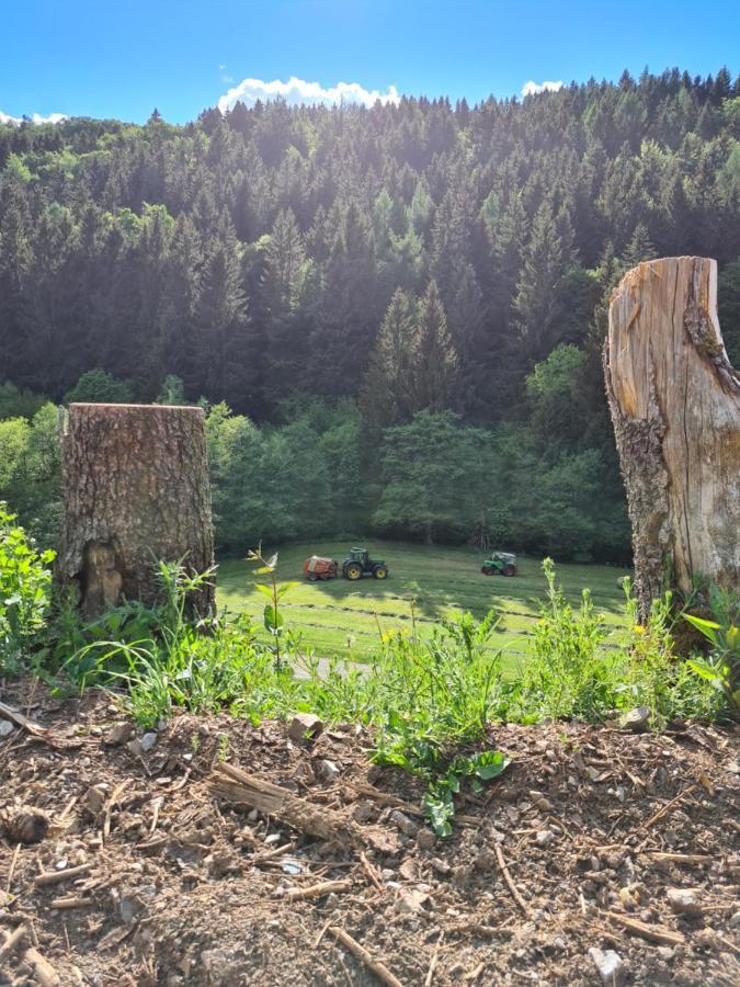 Panoramablick Willingen Schwalefeld Lejlighed Eksteriør billede