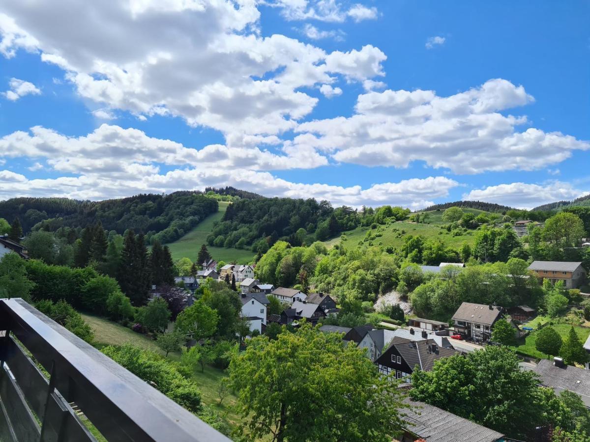 Panoramablick Willingen Schwalefeld Lejlighed Eksteriør billede